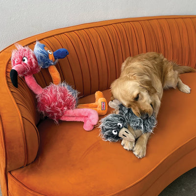 KONG Comfort Jumbo Birds Assorti