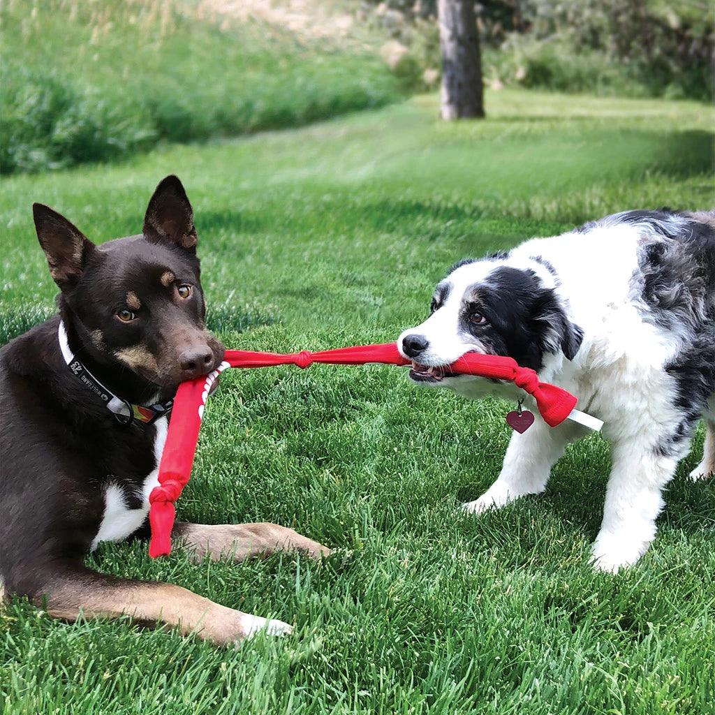 KONG Signature Crunch Rope - Nena's Pets 