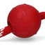 KONG bal met touw 40cm - Nena's Pets 