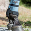 Lemieux Grafter Boots - Nena's Pets 