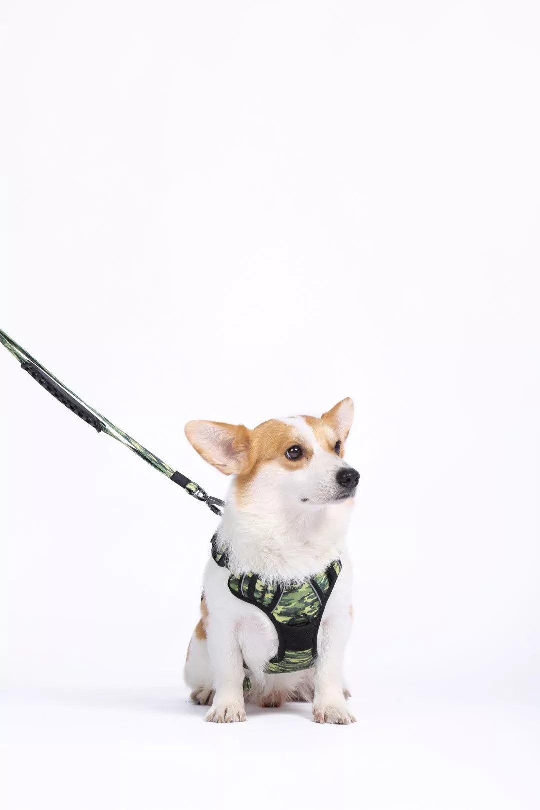 M-Pets Hiking Harness met nek gesp - Nena's Pets 