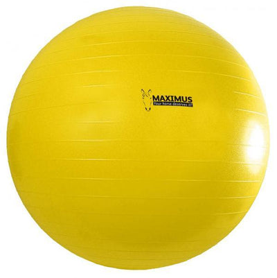 Maximus Power Play Ball 100cm - paarden speelbal - Nena's Pets 