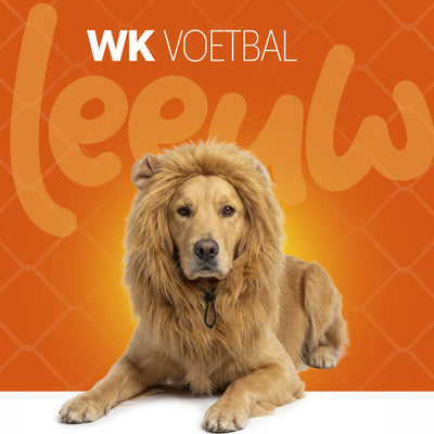 Oranje WK Manen Tooi