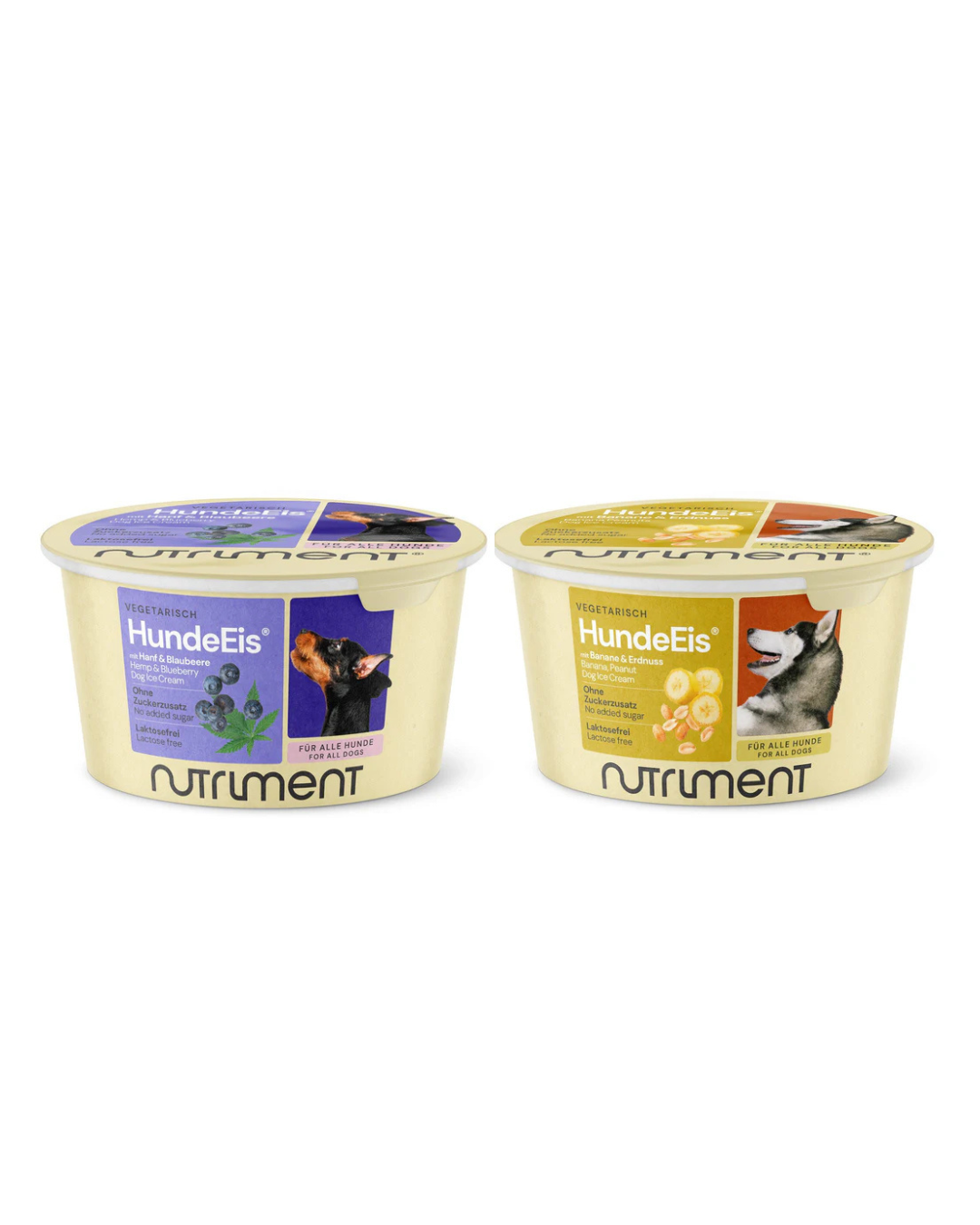 Nutriment hondenijs