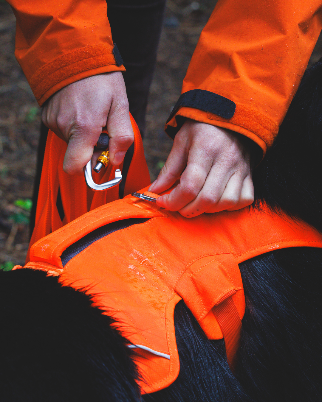 Ruffwear Rogue Long Line