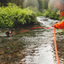 Ruffwear Rogue Long Line