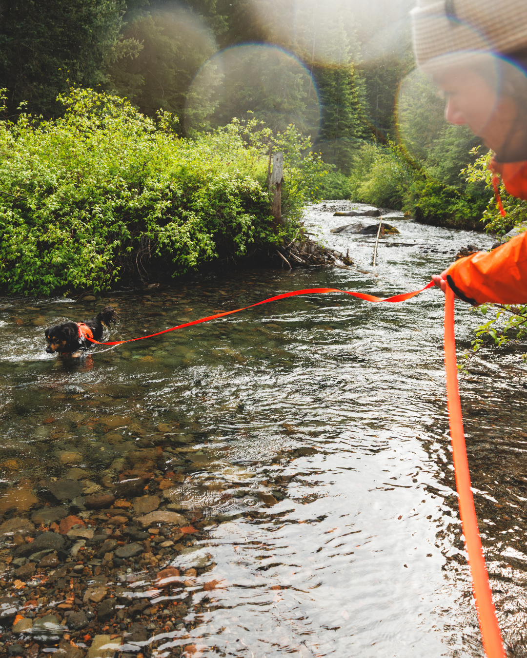Ruffwear Rogue Long Line