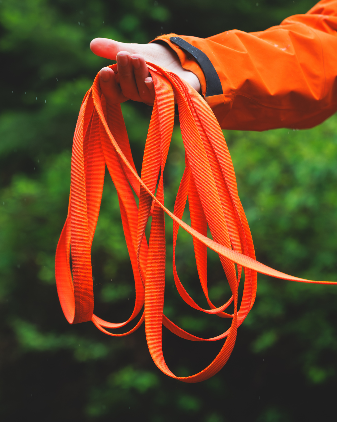 Ruffwear Rogue Long Line
