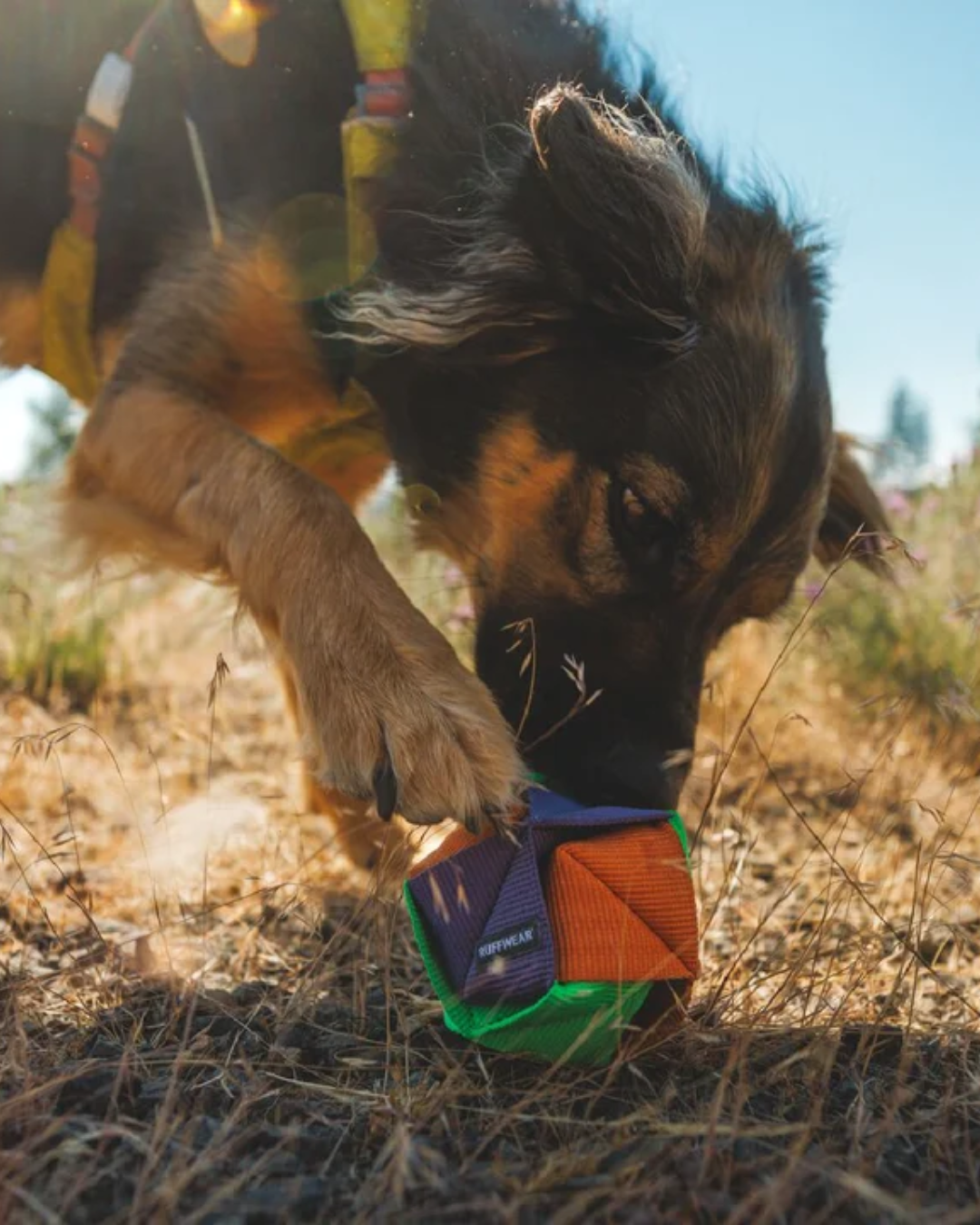Ruffwear Webbing Remix Dog Ball Toy