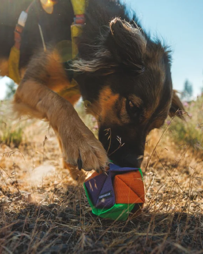 Ruffwear Webbing Remix Dog Ball Toy