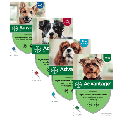 Advantage Hond - Nena's Pets 