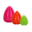 Dog Comets Cosmic Egg