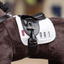 Lemieux Toypony Harnachement - Nena's Pets 