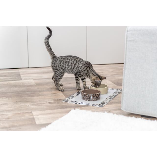 Trixie placemat Leo