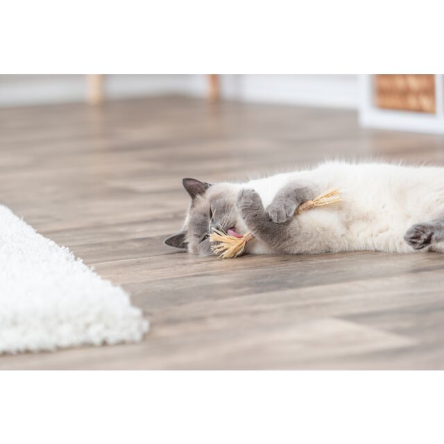 Trixie matatabi stokje met franjes