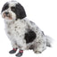 Trixie anti-slip hondensokken - Nena's Pets 