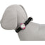 USB Flasher voor Honden - Nena's Pets 