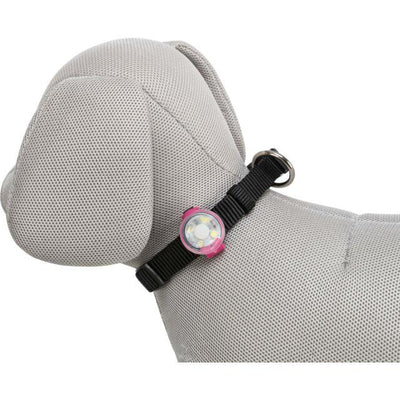 USB Flasher voor Honden - Nena's Pets 