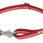 Patroller Dog Leash - Nena's Pets 