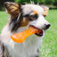 Pet Qwerks Flavorit - Nena's Pets 
