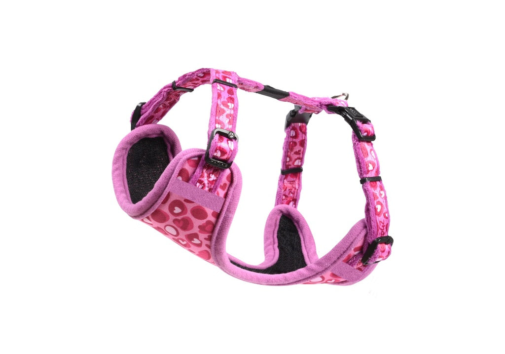 Rogz Fashion tuig