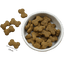 Riverwood Crunchy trainers - Nena's Pets 