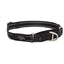 Rogz Utility Control Web halsband - Nena's Pets 