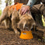 Ruffwear Bivy bowl