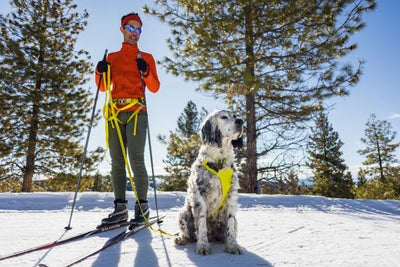 Ruffwear Omnijore dog joring system hardloopset - Nena's Pets 