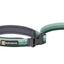 Ruffwear Roamer Bungee Dog Leash - Nena's Pets 