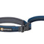 Ruffwear Roamer Bungee Dog Leash - Nena's Pets 