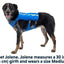 Ruffwear Trail Runner hardloopvest voor honden - Nena's Pets 