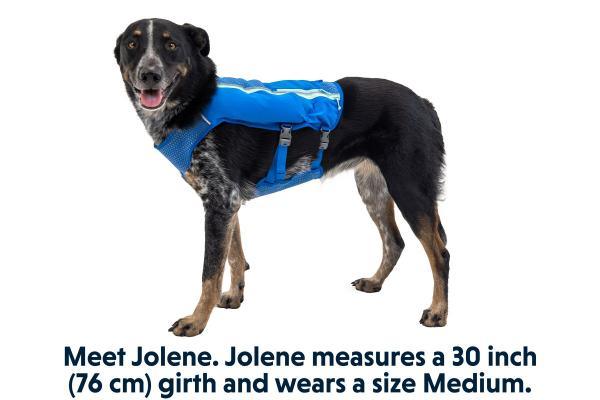 Ruffwear Trail Runner hardloopvest voor honden - Nena's Pets 