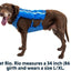 Ruffwear Trail Runner hardloopvest voor honden - Nena's Pets 
