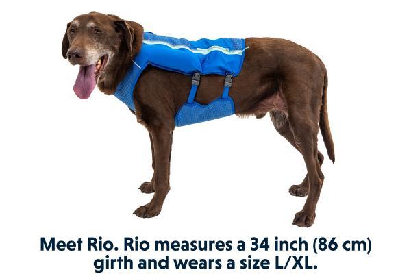 Ruffwear Trail Runner hardloopvest voor honden - Nena's Pets 