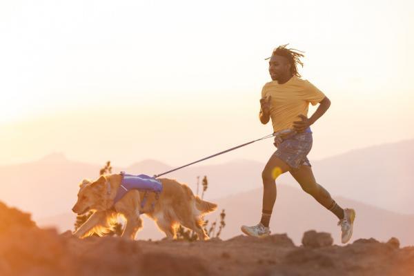 Ruffwear Trail Runner hardloopvest voor honden - Nena's Pets 