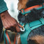 Ruffwear front range day pack - Nena's Pets 