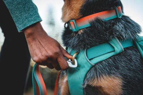 Ruffwear front range day pack - Nena's Pets 