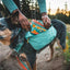 Ruffwear front range day pack - Nena's Pets 