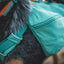 Ruffwear front range day pack - Nena's Pets 