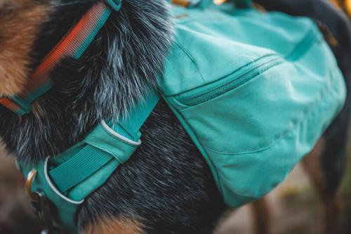 Ruffwear front range day pack - Nena's Pets 