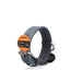 Spotted! Pro Leren Halsband met Tag