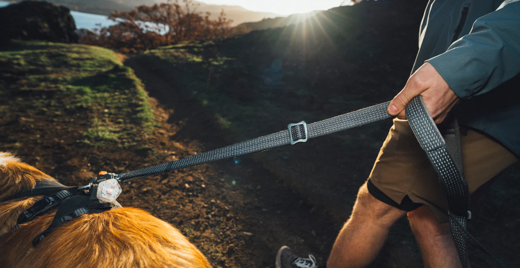 Ruffwear Ridgeline riem