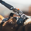 Ruffwear Ridgeline riem