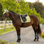 LeMieux Air-tek Mesh cooling dressuur dekje 'SS26