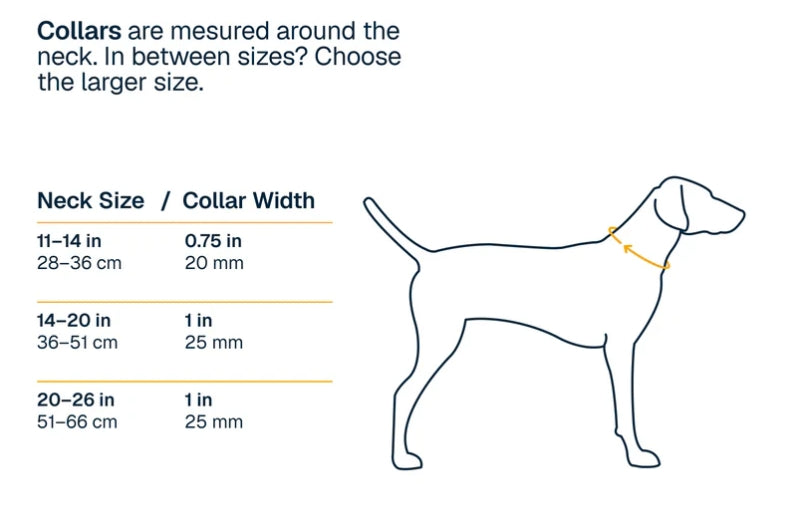 Ruffwear Ridgeline halsband