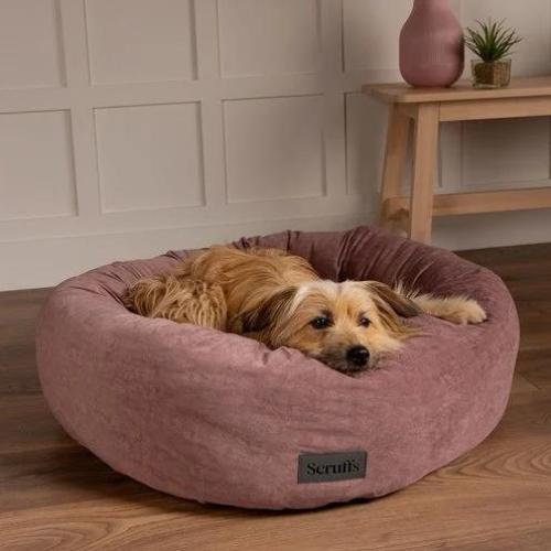 Scruffs Oslo ringbed/donutbed - Nena's Pets 