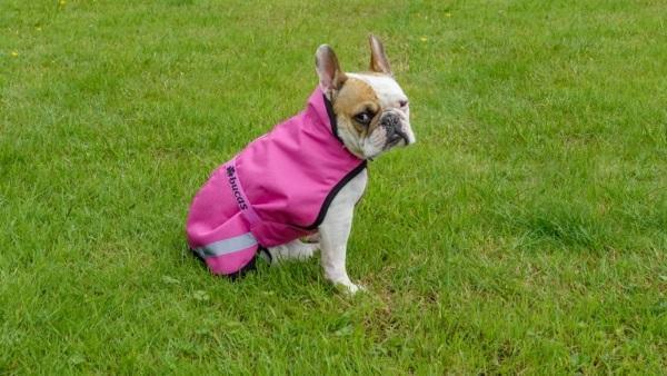Bucas Freedom Dog Rug Regendeken - Nena's Pets 