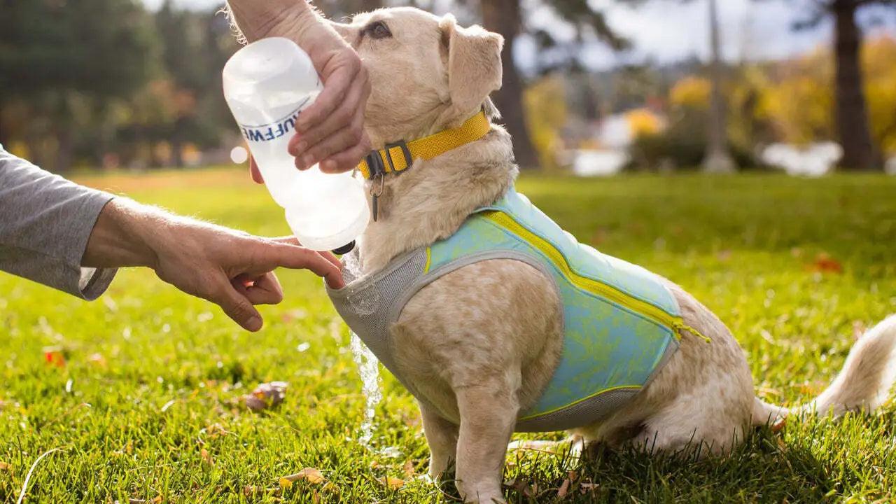 Swamp Cooler Zip Cooling Dog Vest - Nena's Pets 