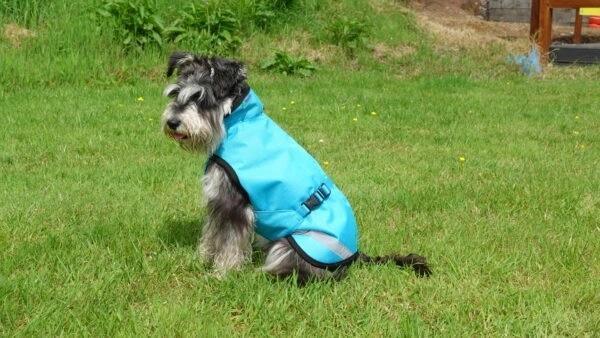 Bucas Freedom Dog Rug Regendeken - Nena's Pets 